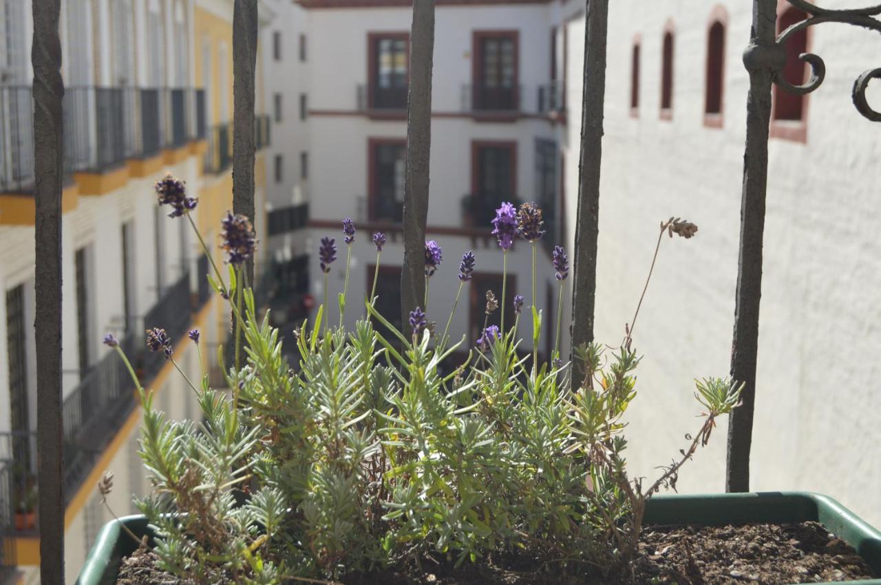 Isg Apartments Precioso Atico Con Terraza Privada En El Centro Seville Luaran gambar